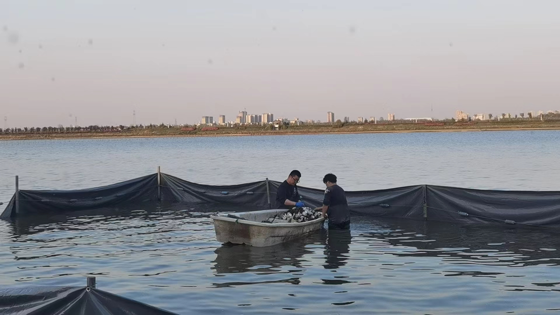 1_20250430204643.jpg 1_20250430204643.jpg